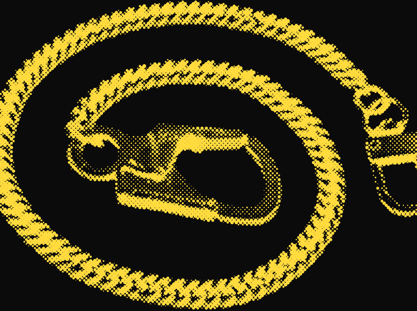 Heavy stainless steel wallet chain with locking carabiner